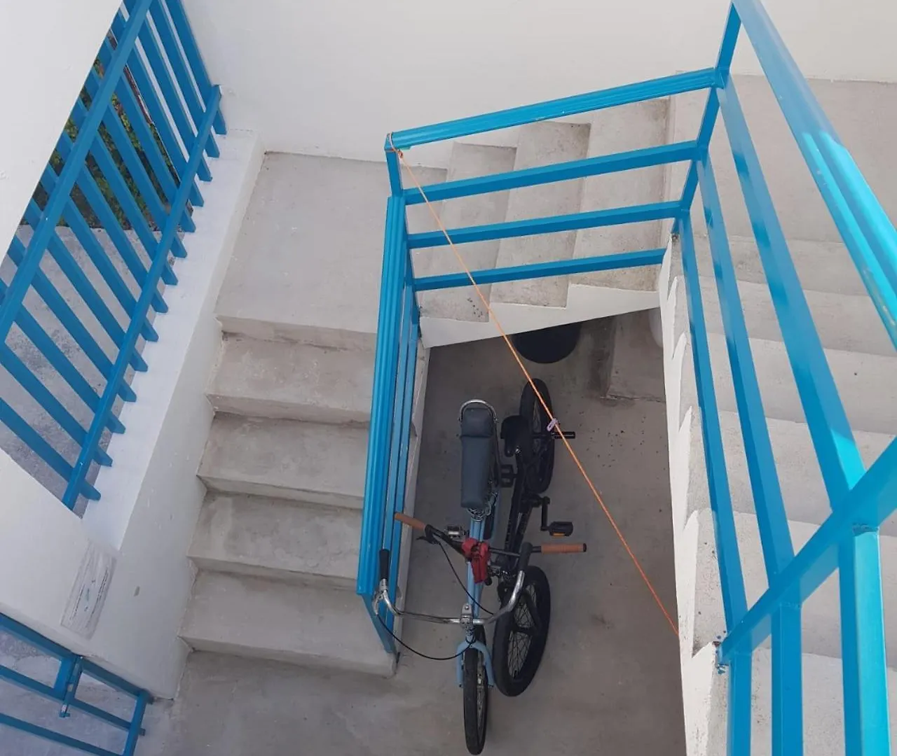 Estudio Coati Azul En La Isla De Cozumel En El Caribe 墨西哥