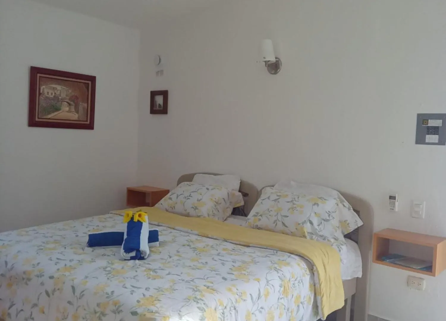 Estudio Coati Azul En La Isla De Cozumel En El Caribe