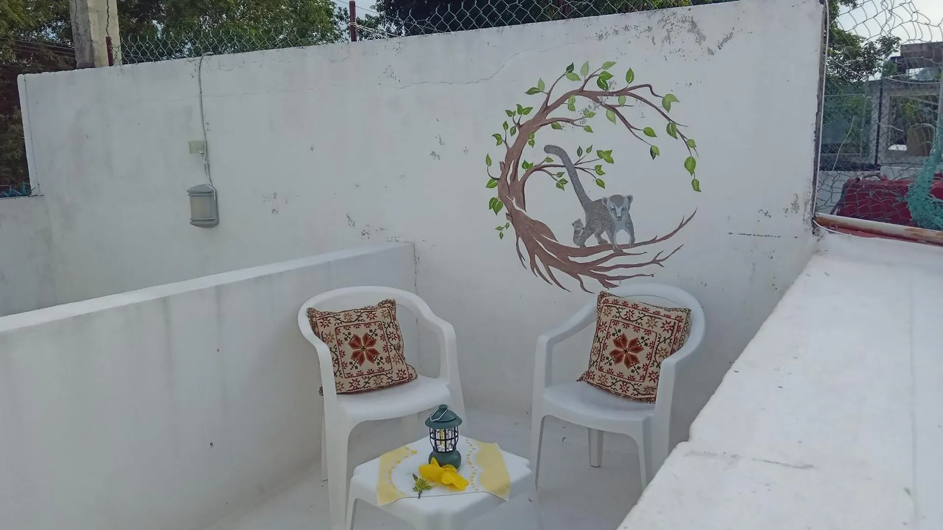 Estudio Coati Azul En La Isla De Cozumel En El Caribe 公寓